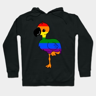 Rainbow Flamingo Hoodie